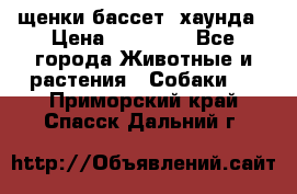 щенки бассет- хаунда › Цена ­ 20 000 - Все города Животные и растения » Собаки   . Приморский край,Спасск-Дальний г.